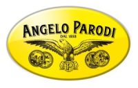 Logo-Angelo-Parodi-giallo-scaled-e1732041629948